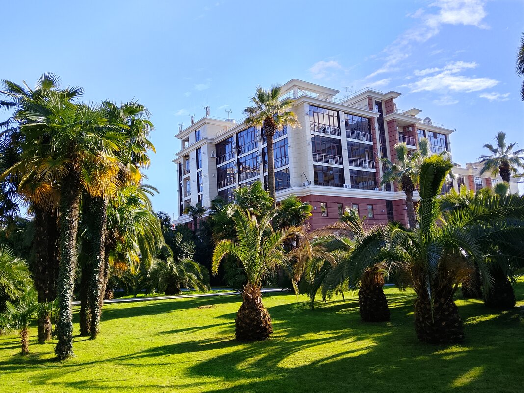 Платановая аллея. Пальмовый уголок - Tata Wolf