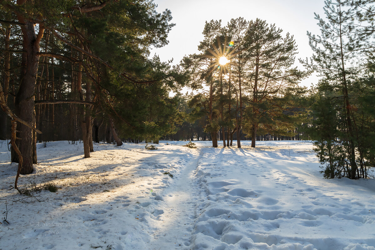 Мартовское солнце - Александр Синдерёв