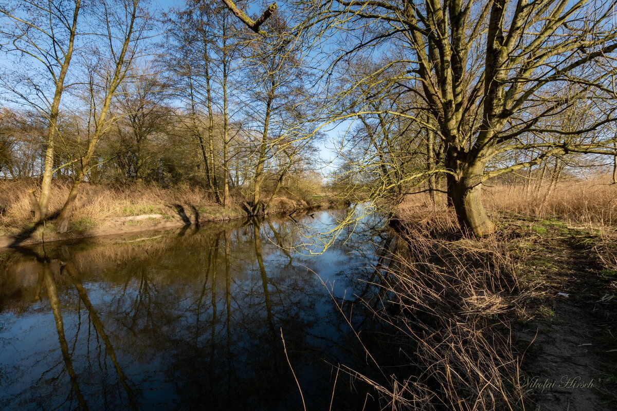 В марте месяце... - Николай Гирш