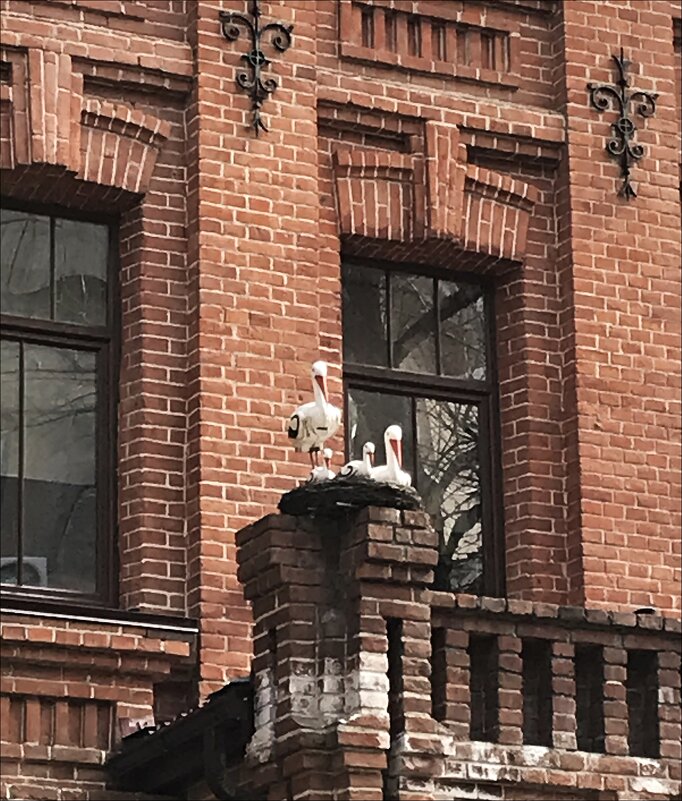 Центр семейного здоровья! - Надежда 