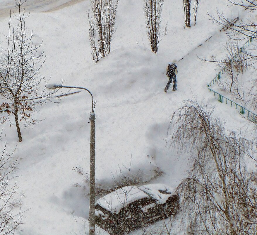 ..у меня во дворе снегопад!! - galalog galalog