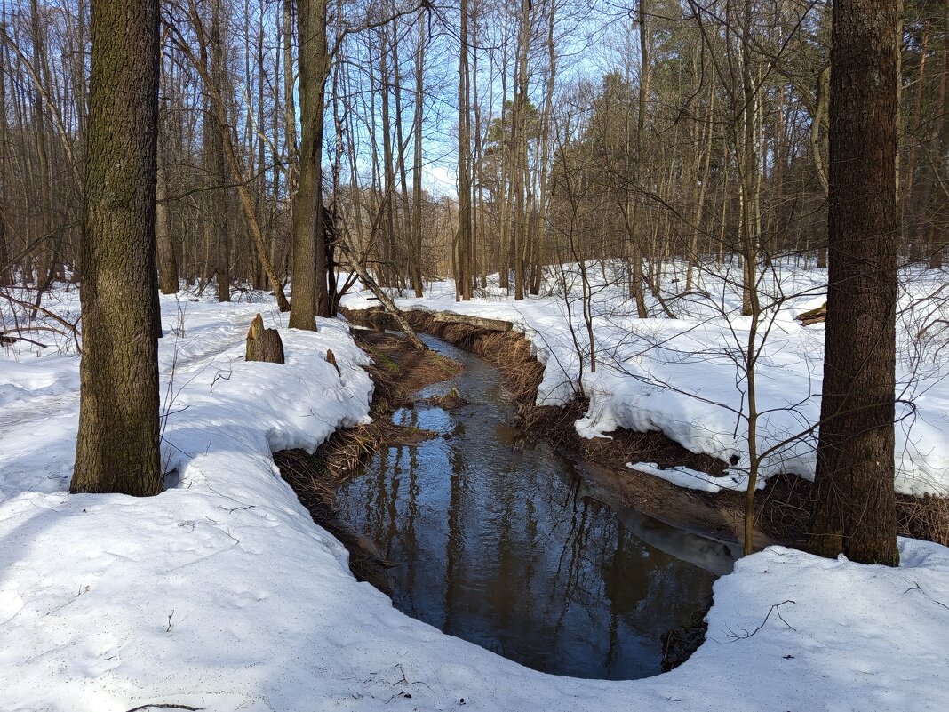 Измайловский парк в марте - Андрей Лукьянов
