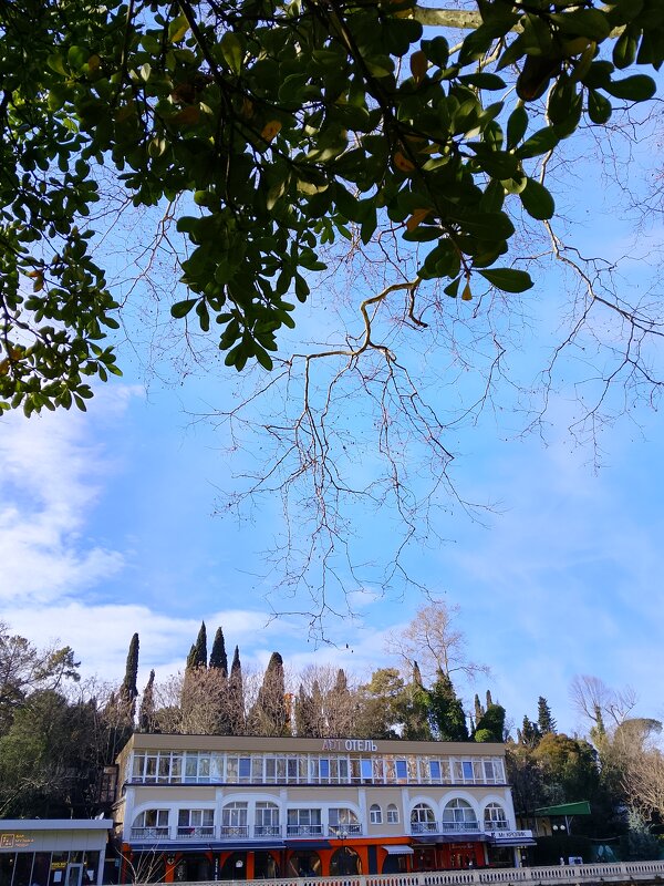 Новая набережная реки Сочи - Tata Wolf