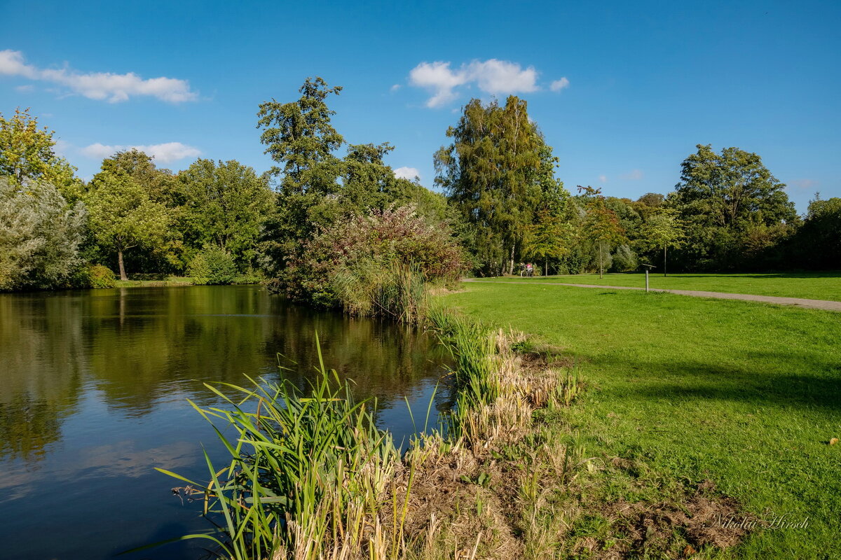 Осень не осень... - Николай Гирш