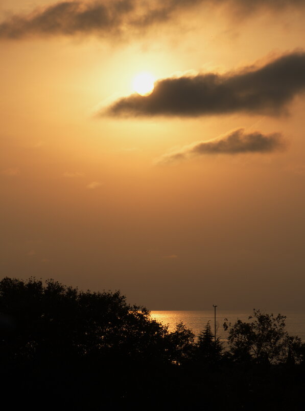 Шоколадный вечер. - Марина Леонидовна