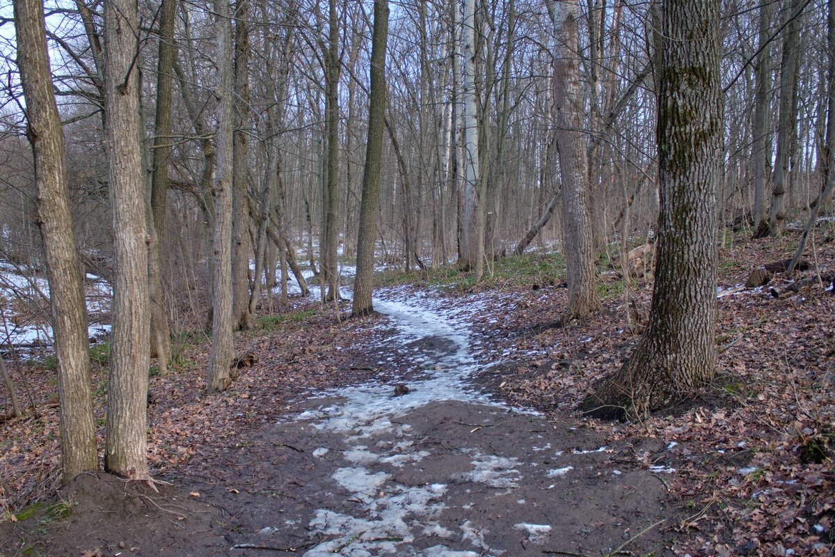 Дыхание весны ... - Ravile 