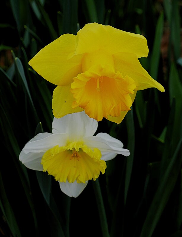 Весна(серия) - Владимир Манкер