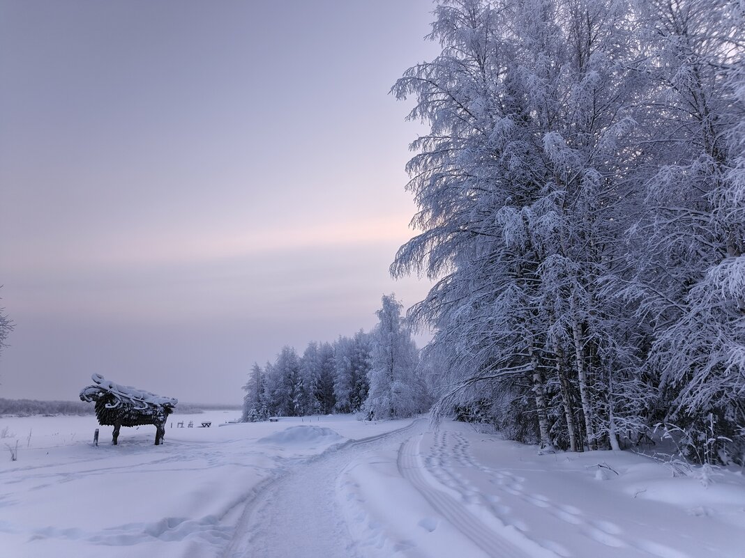 Из леса вышел... - Ольга Чистякова