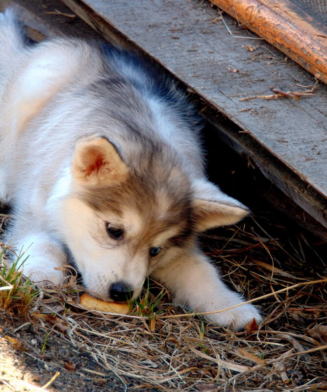Съем,пока не видят. - nadyasilyuk Вознюк