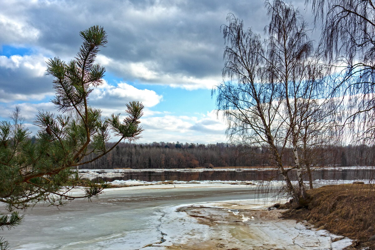 *** - Геннадий Порохов