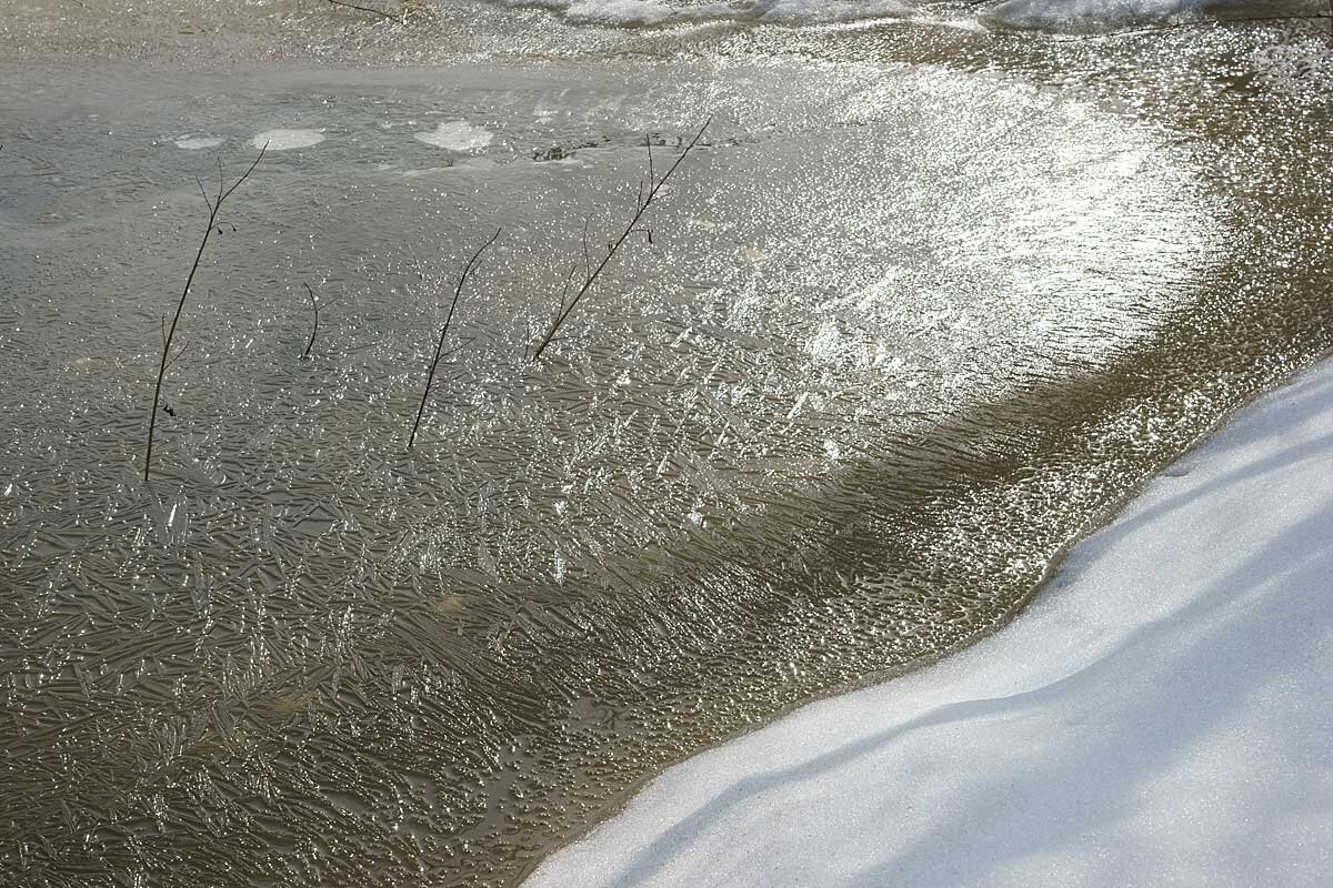 Мартовский натюрморт - Сергей Курников