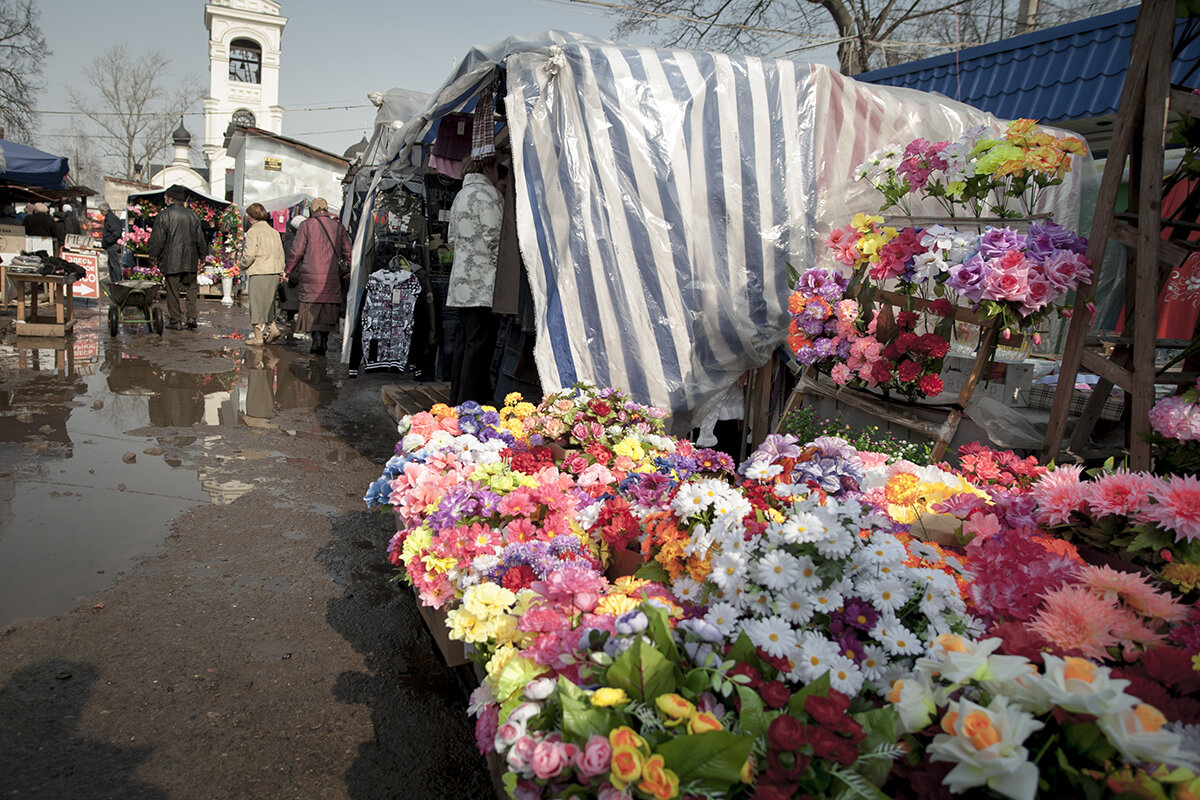 Из прошлых вёсен      2011 - Владимир Носов