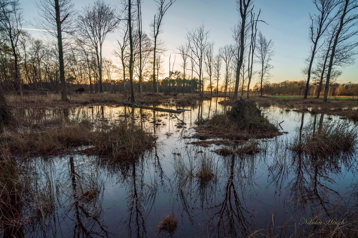 Непролазка... - Николай Гирш