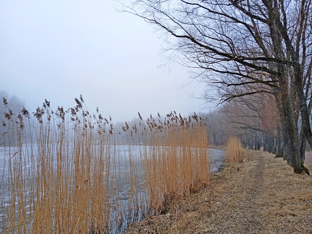А в тумане прогуляться ? - Лия ☼