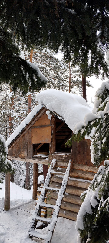 Баня - Радмир Арсеньев