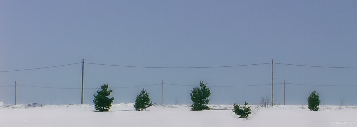 без названия - fogmeadowww m