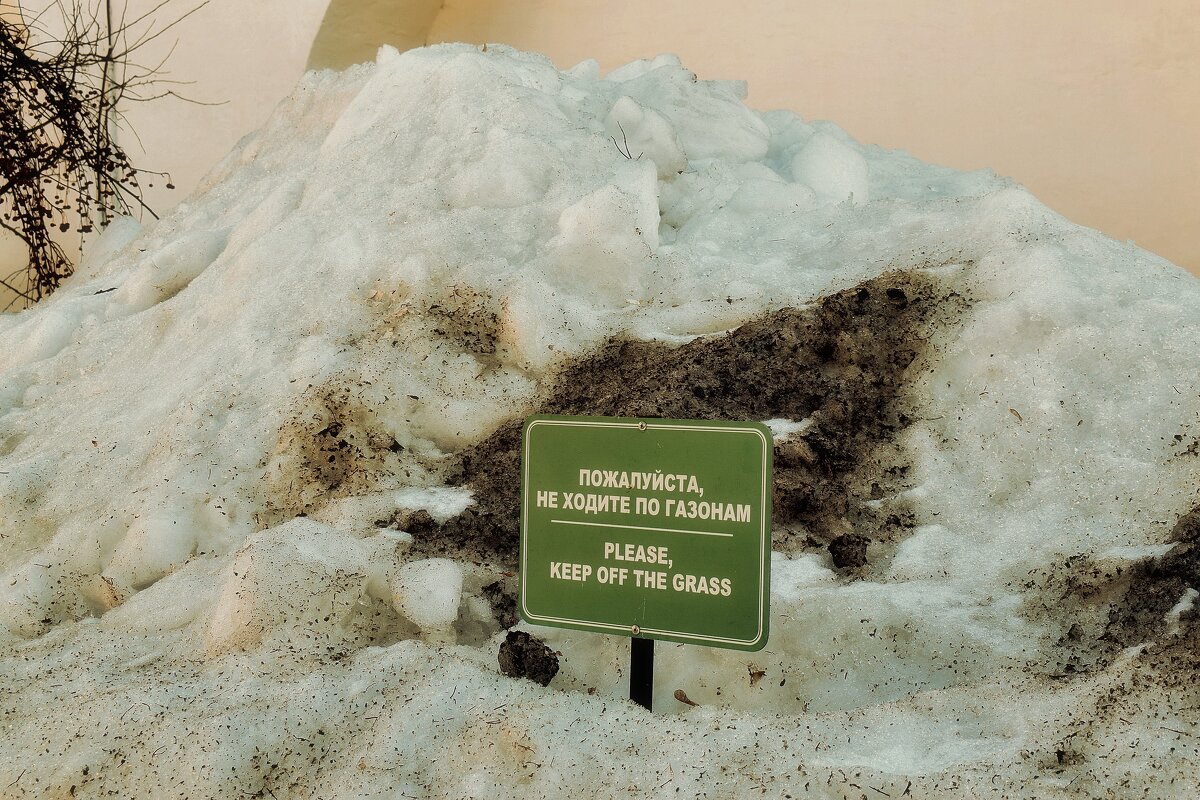 До газонов пока далеко. - Татьяна Помогалова