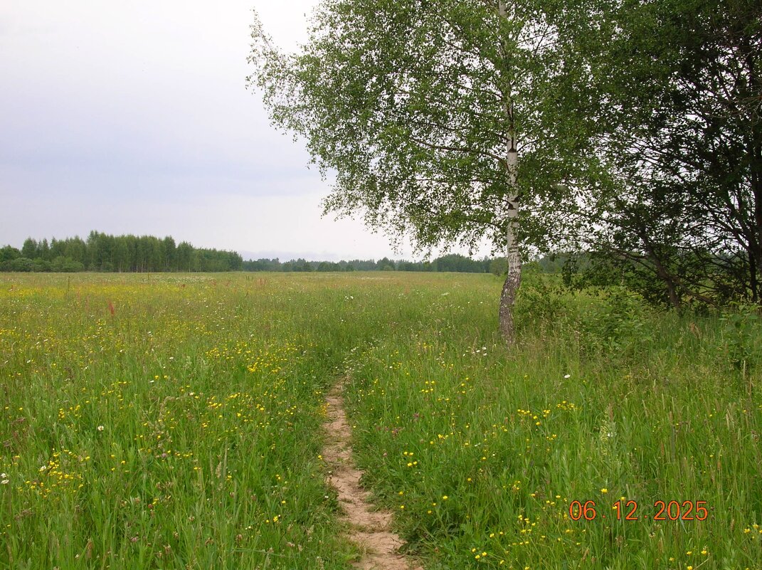 Полевая дорожка - fogmeadowww m