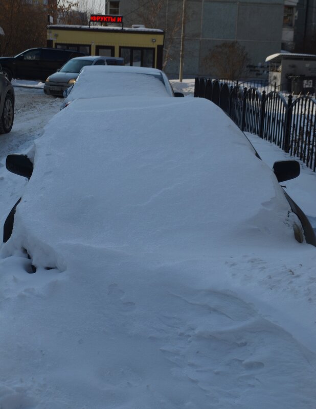 долго откапывать прийдется - Savayr 