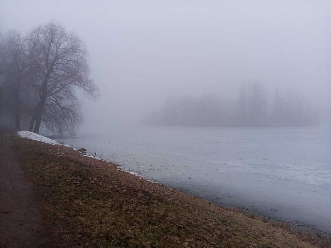 Туман - Сапсан 