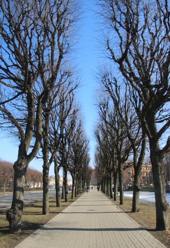 Весенний Питер - Наталья Герасимова