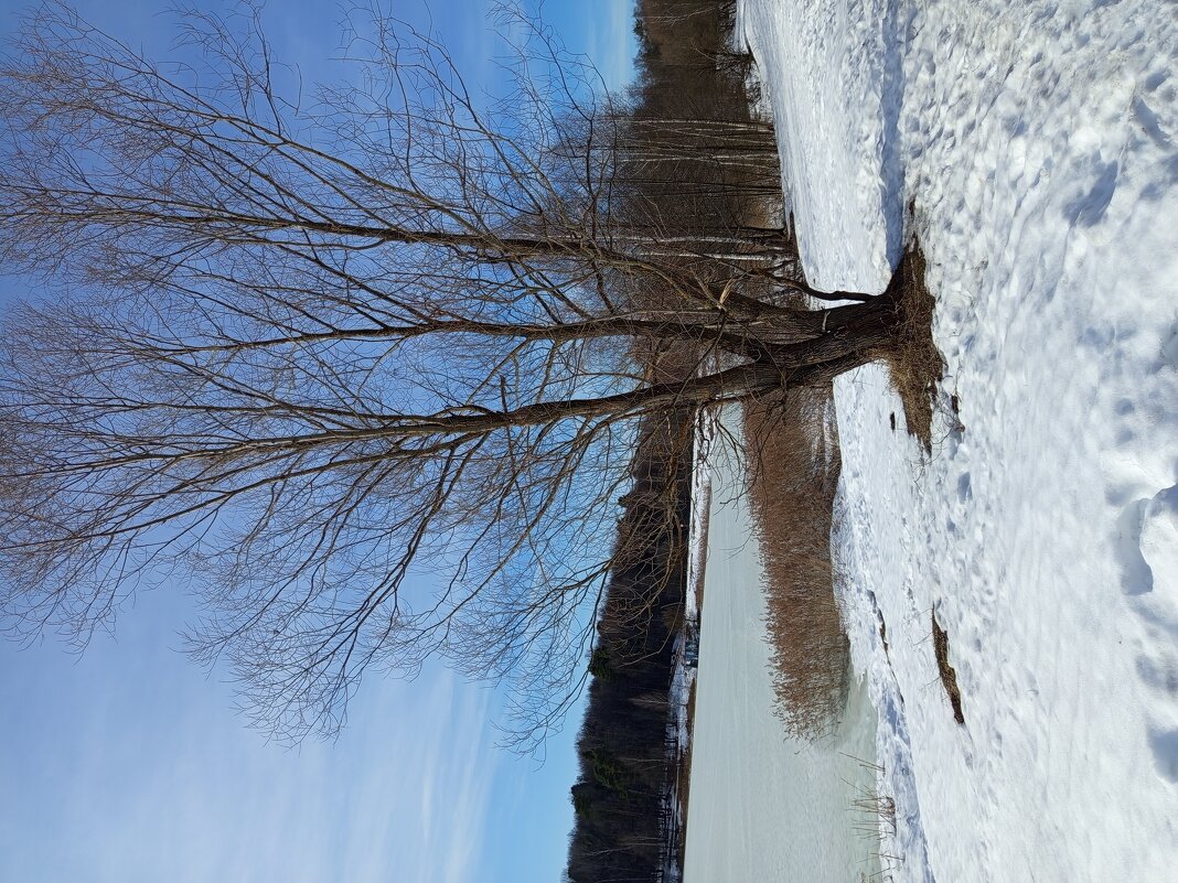 Март как весенний месяц - Андрей Лукьянов