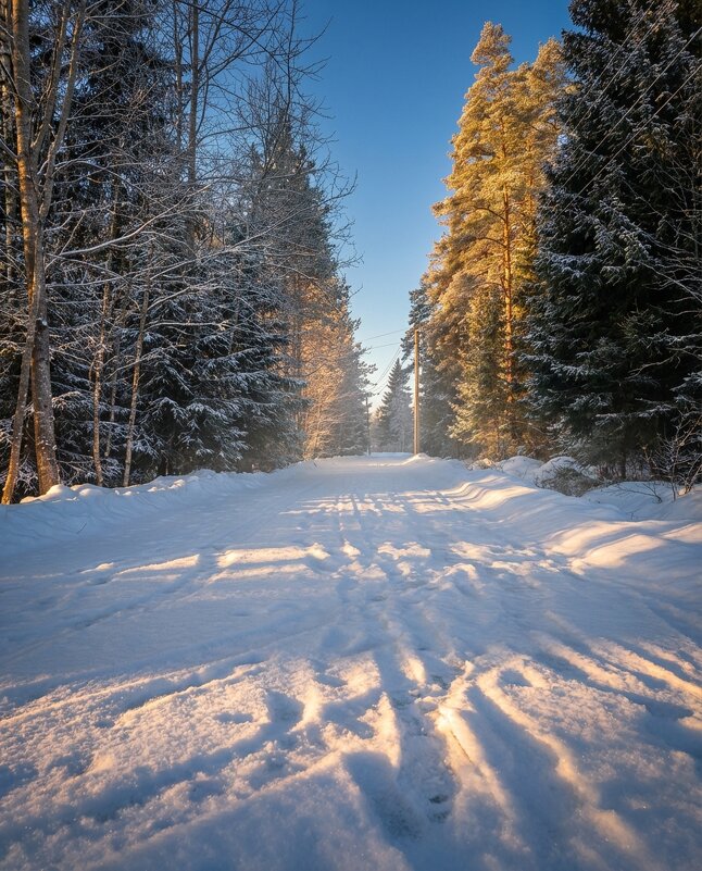 Зимняя дорожка - Лилия 