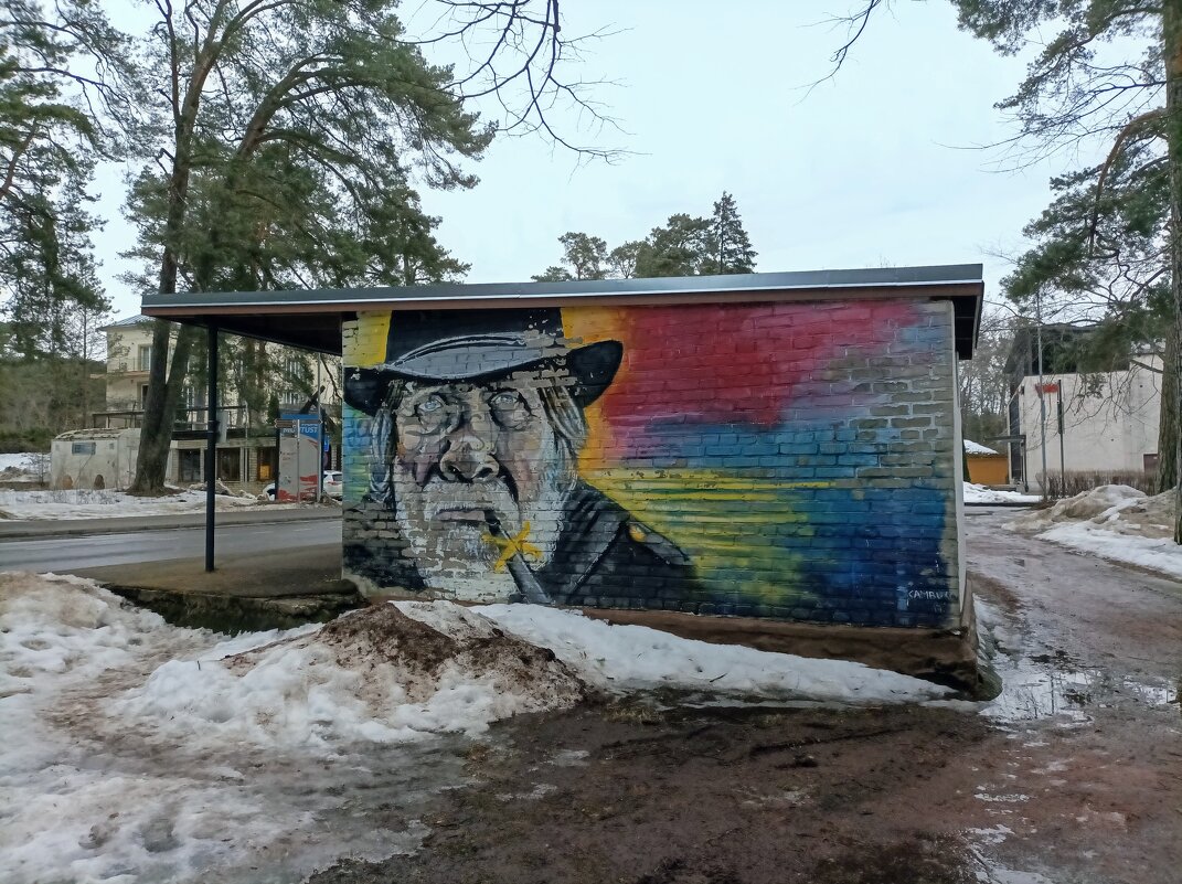 Прогулка в Нарва-Йыэсуу - Veera V