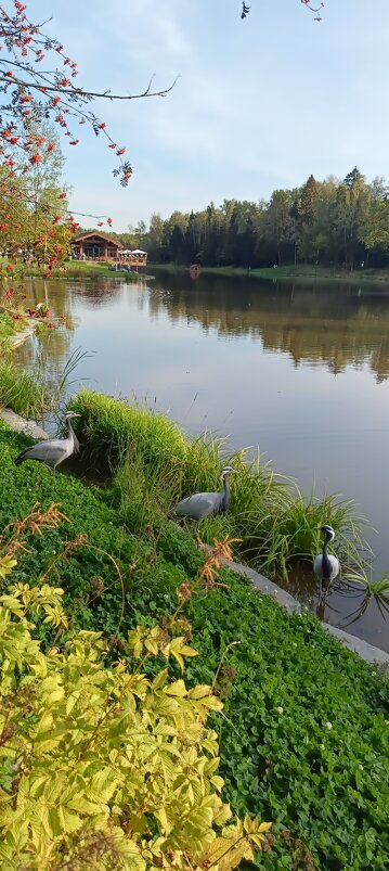 в парке живут журавли - Галина R...