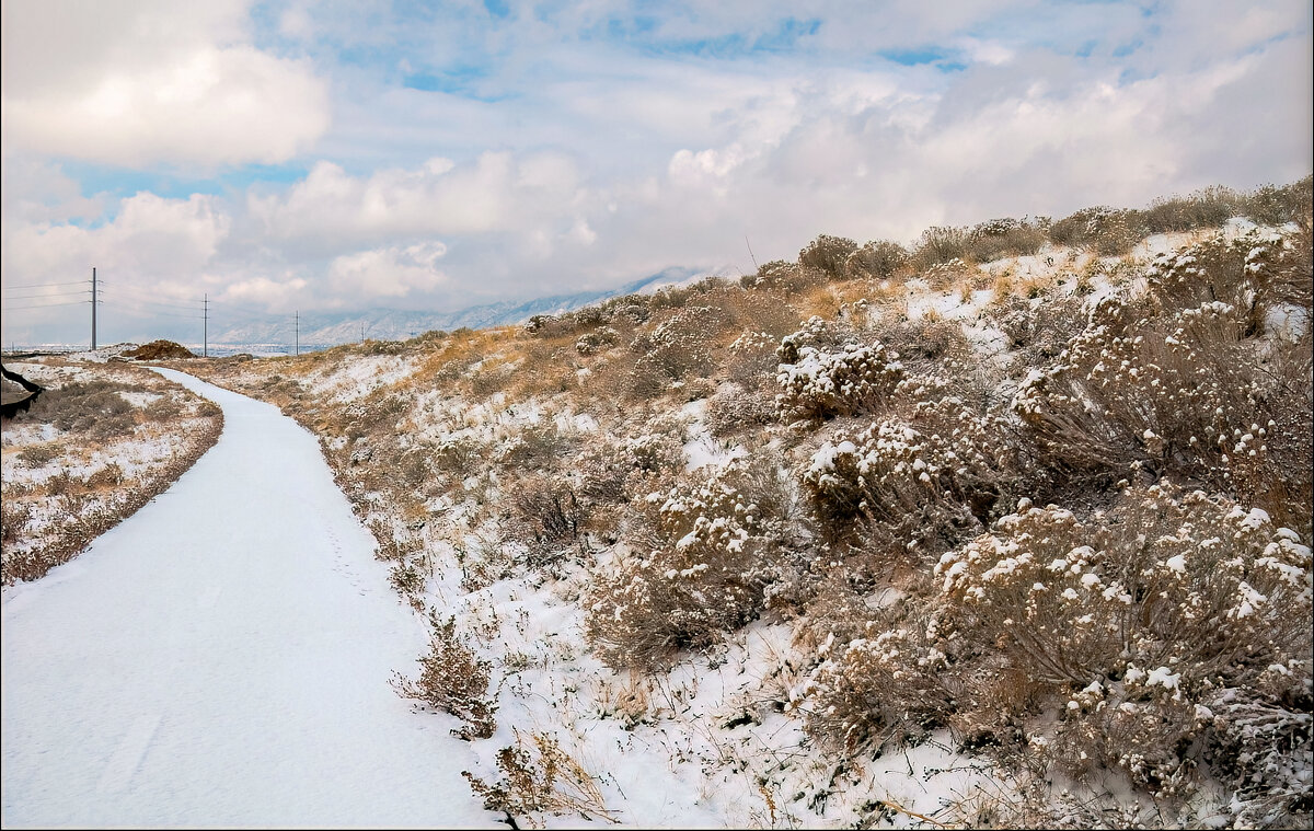 Утро после снегопада - **** vedin