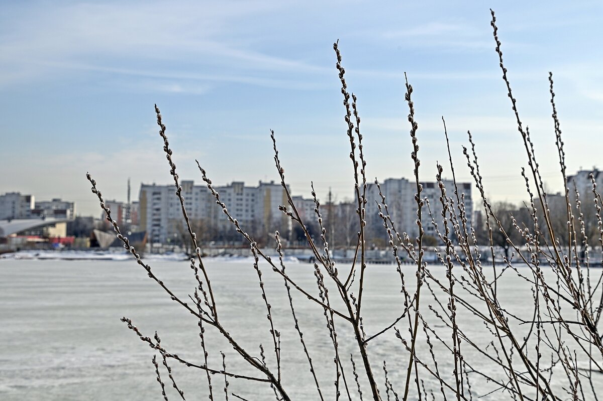 Проснулась природа - Валерий Иванович