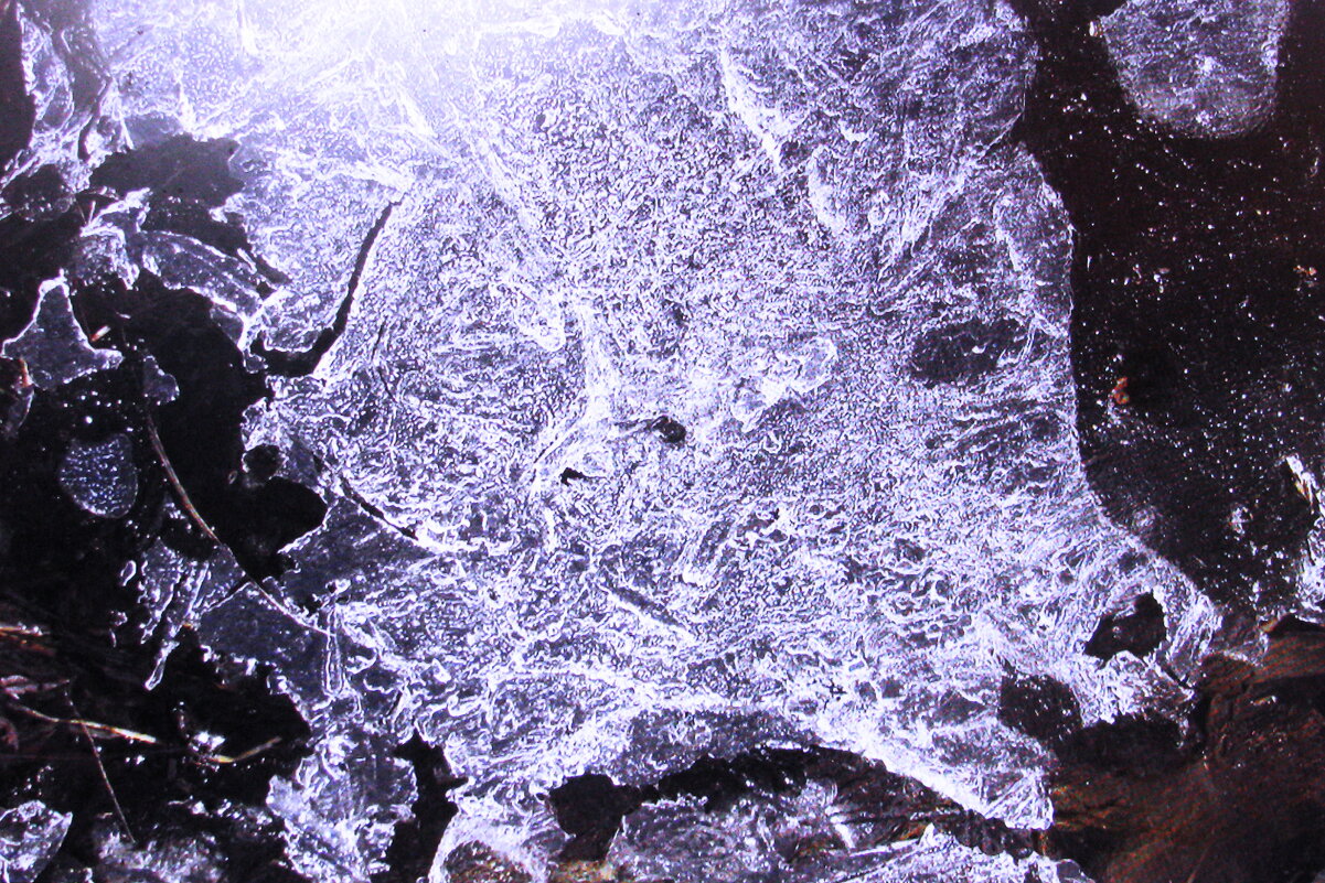 Ледяная хрюша - Людмила Смородинская