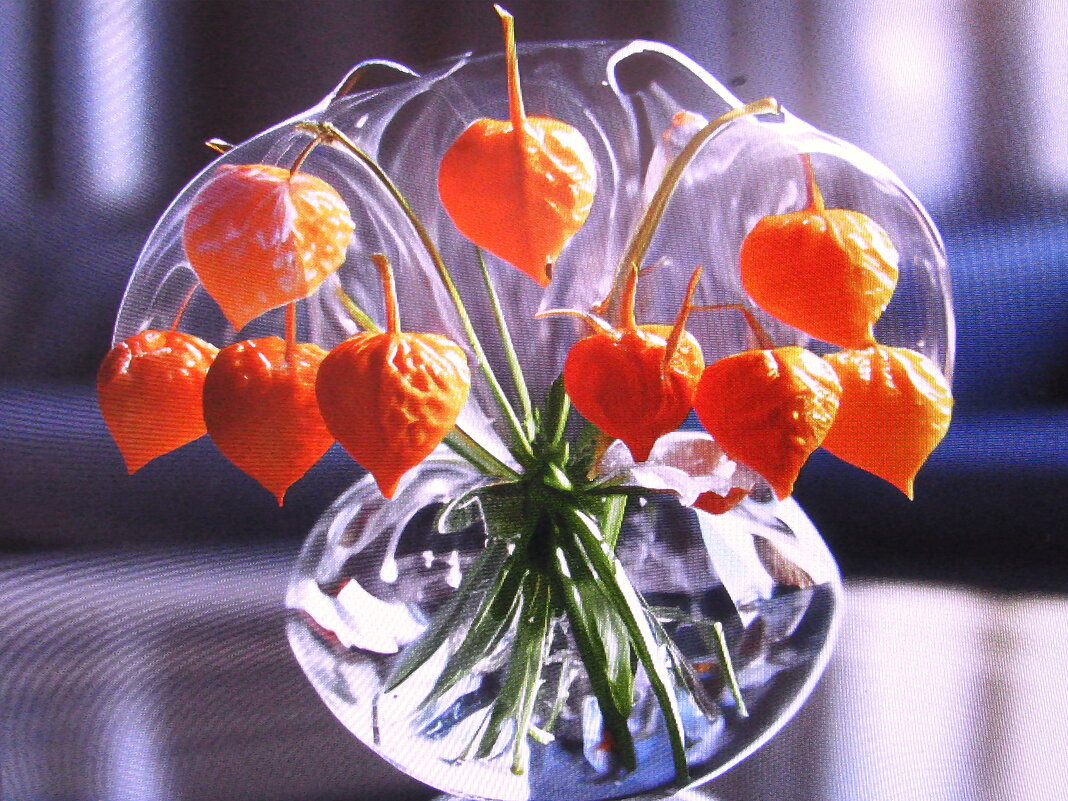 Красивый букетик - Людмила Смородинская