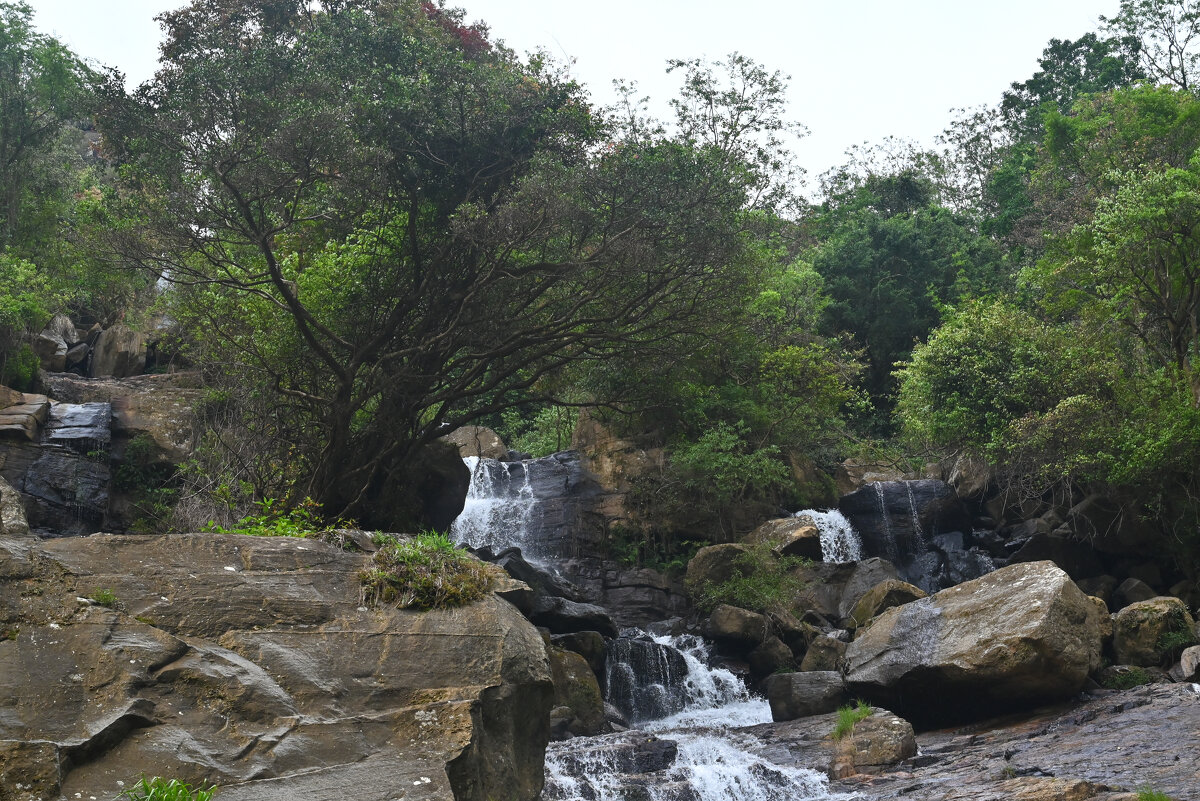 Шри-Ланка. Водопады Эссе. - Александр Беляков Шри-Ланка. Водопады Эссе. - Александр Беляков