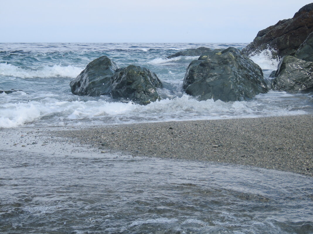 Омытые морем - ИРЭН@ .