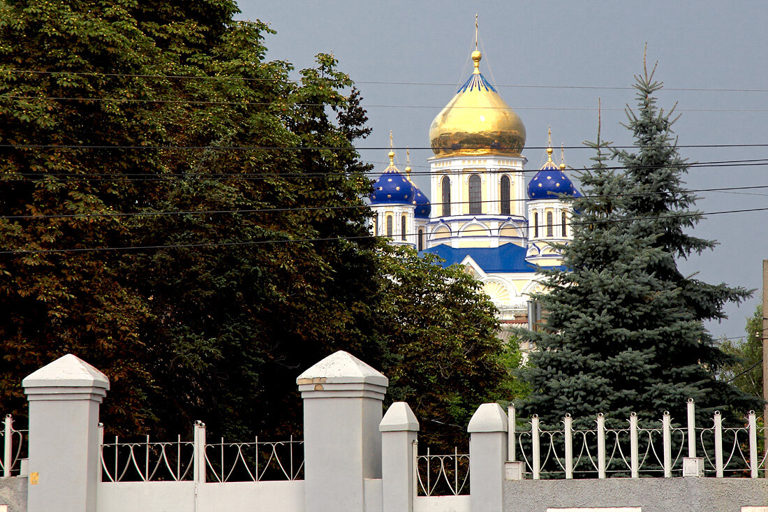 Купола собора. Елец - MILAV V