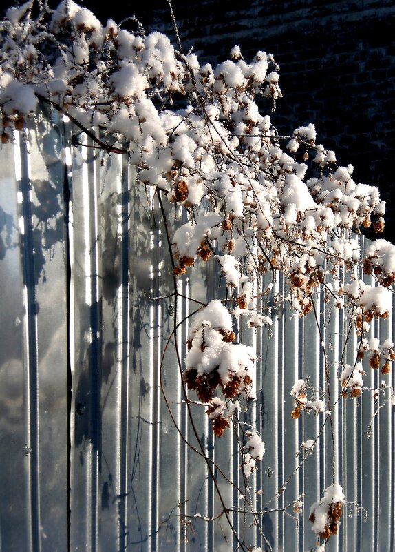Детали природы - Роман Савоцкий