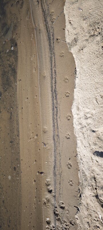 Следы на песке - Наталия Следы на песке - Наталия