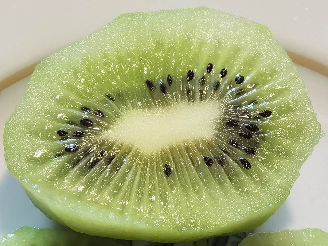 Киви - Лилия * Киви - Лилия *