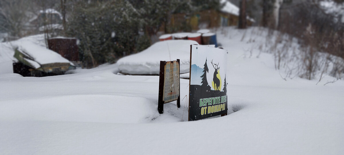 Береги природу!!! - Радмир Арсеньев