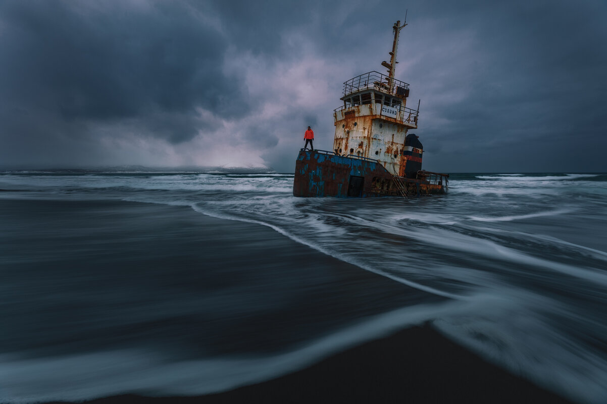 Выживший - Дмитрий Шишкин