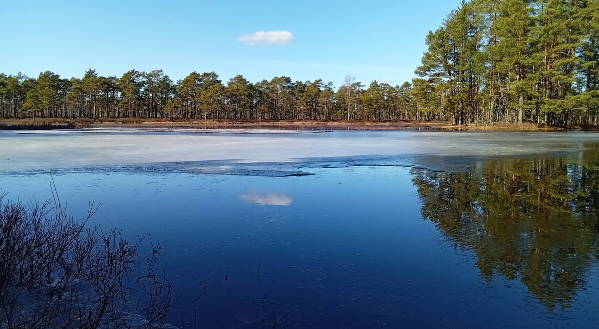 Мартовский воздух прозрачен и чист.. - Татьян@ Ивановна Мартовский воздух прозрачен и чист.. - Татьян@ Ивановна