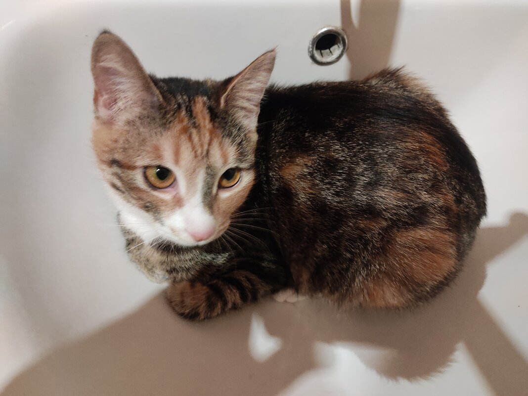 Может уже умоешь? - Александр Буторин Может уже умоешь? - Александр Буторин