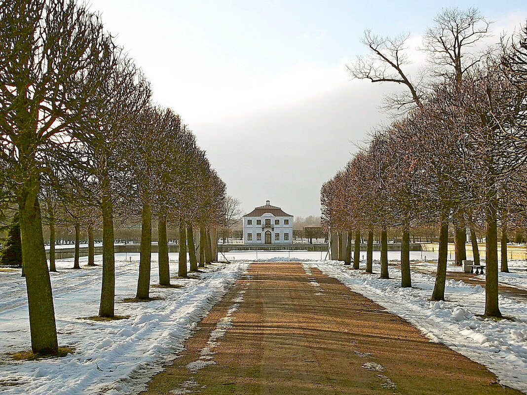 Петергофские аллеи - VasiLina * Петергофские аллеи - VasiLina *