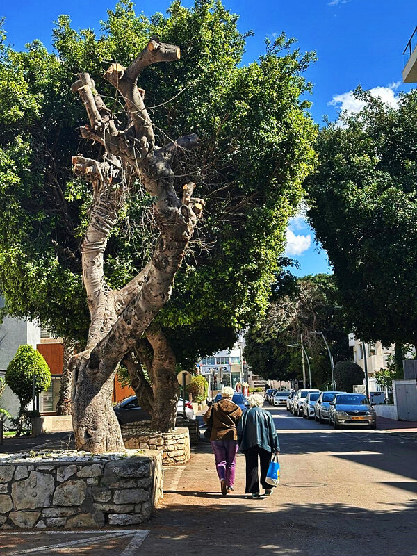 ЗМЕЙ   ГОРЫНЫЧ - Анатолий Малобродский