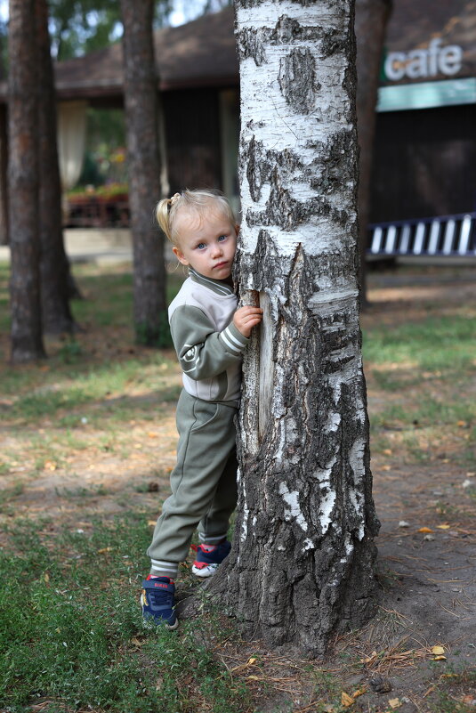 У берёзы. - valser61 У берёзы. - valser61