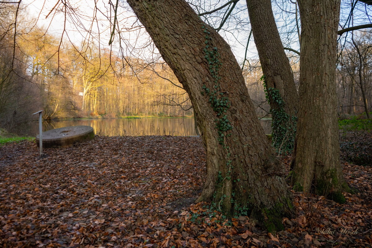 *** - Николай Гирш