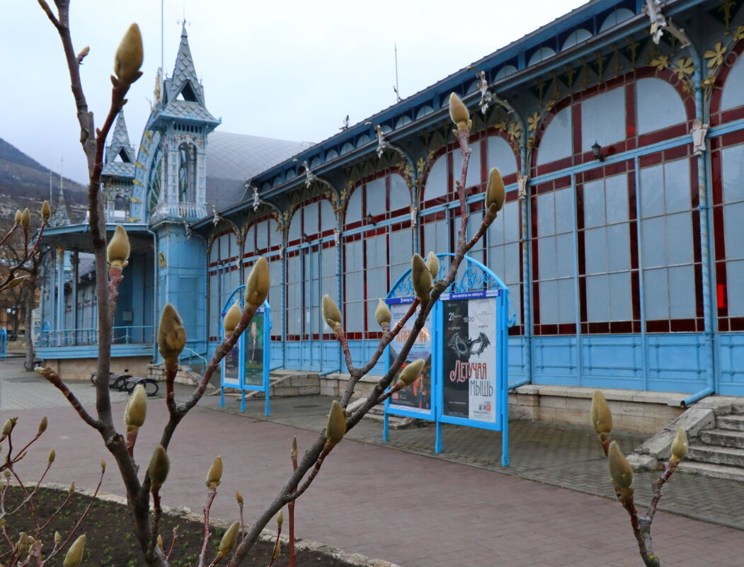 магнолия - Игорь Kуленко магнолия - Игорь Kуленко