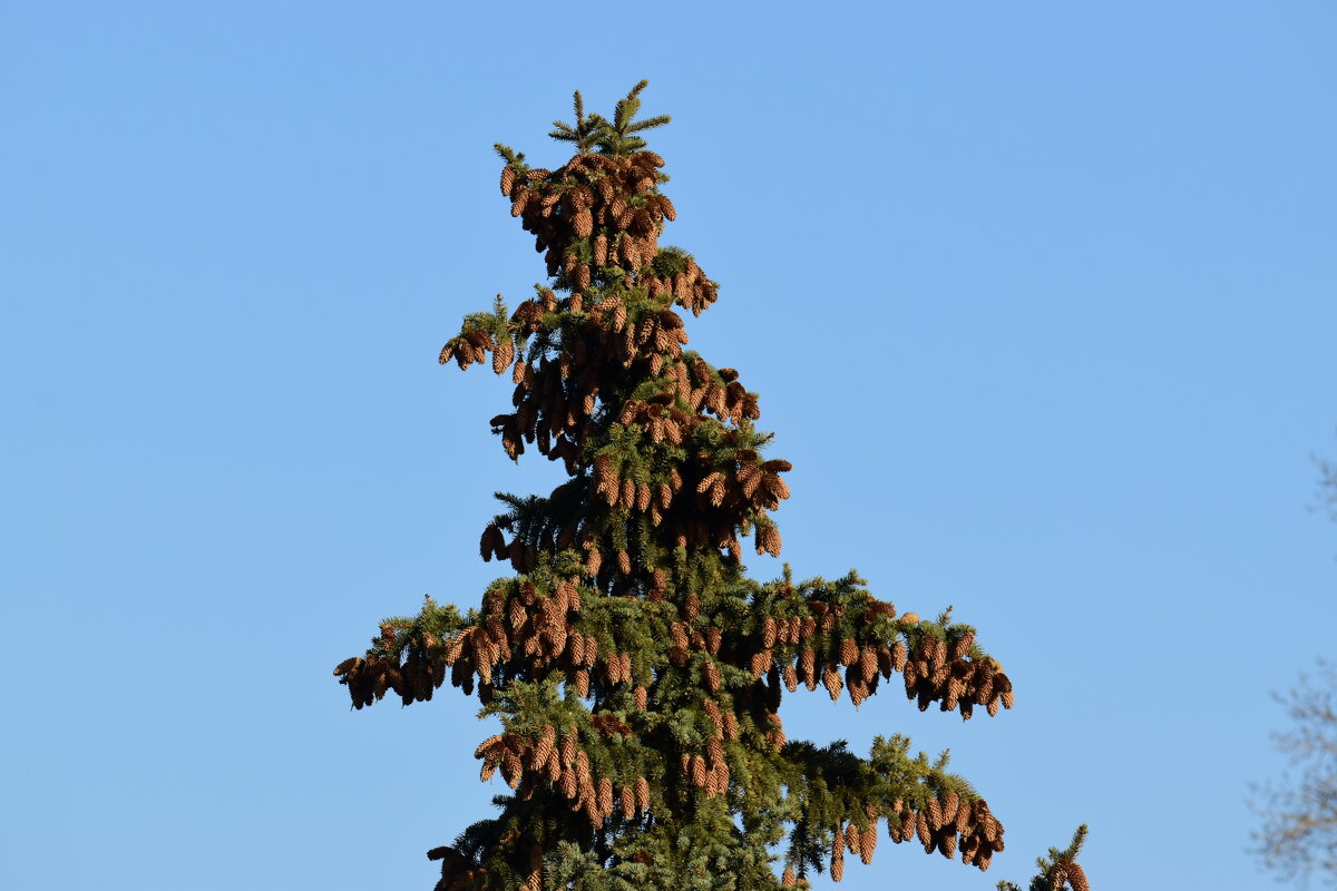 Обновление - Наталья Вязигина Обновление - Наталья Вязигина