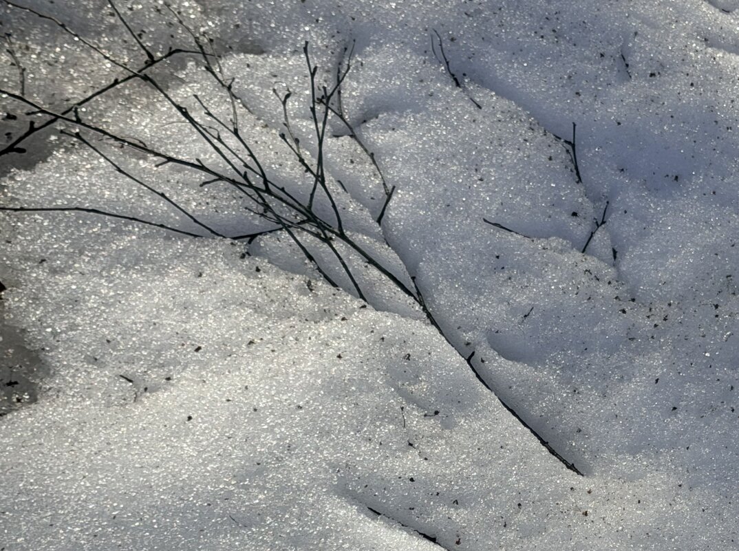 Мартовский снег… - Любовь Мартовский снег… - Любовь
